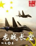 龙战长空简介