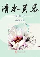 清水芙蓉形容什么