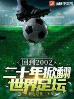 2002从头再来 世界杯