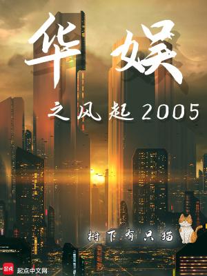 华娱之风起2005八零