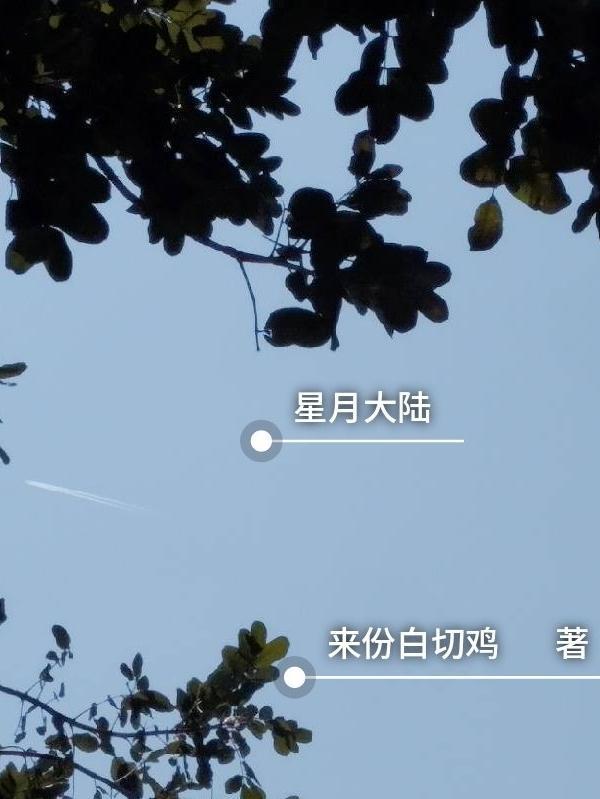 星月大陆星染的结局