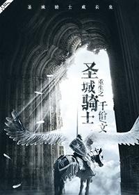 空洞骑士圣城