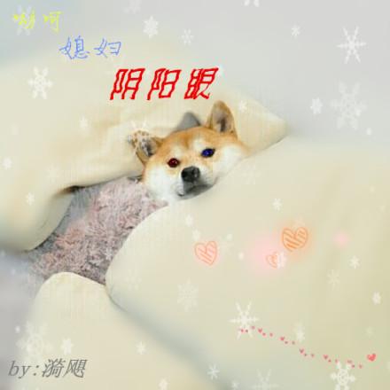 阴阳眼的倒霉媳妇