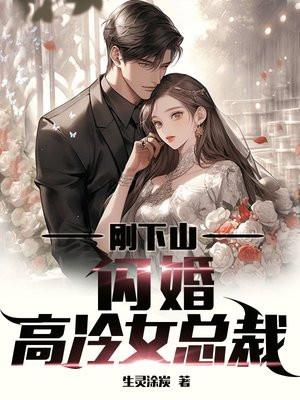 闪婚高冷女总裁叶昊