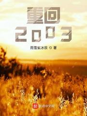 重回2003之巅峰人生