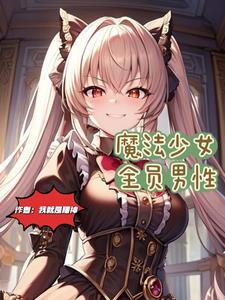 魔法少女的npc