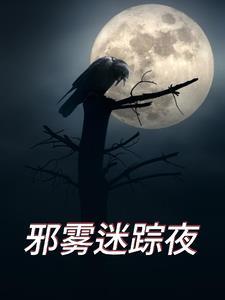 夜点迷踪推理