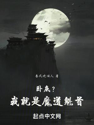 卧底?我就是魔道魁首