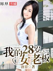 我的28岁女老板唐养免费阅读