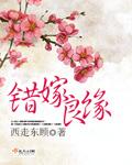 错嫁良缘之一代军师有声