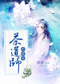 茶道师的烦恼完本