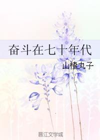 奋斗在七十年代TXT