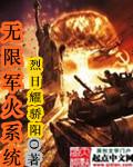 无限军火系统1到100集完整版