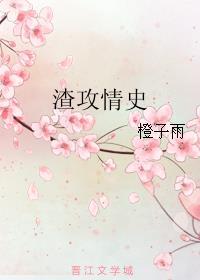 渣攻情史讲的什么