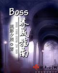 boss的成长之路