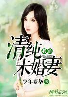 我的未婚妻秦清灵