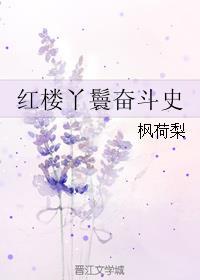 红楼丫鬟奋斗史 无删减