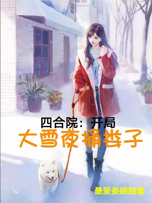 四合院：开局大雪夜捅娄子