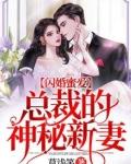 闪婚蜜爱：总裁的神秘新妻