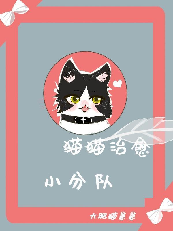 猫猫治愈小分队