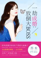 一劫成婚：放倒大boss